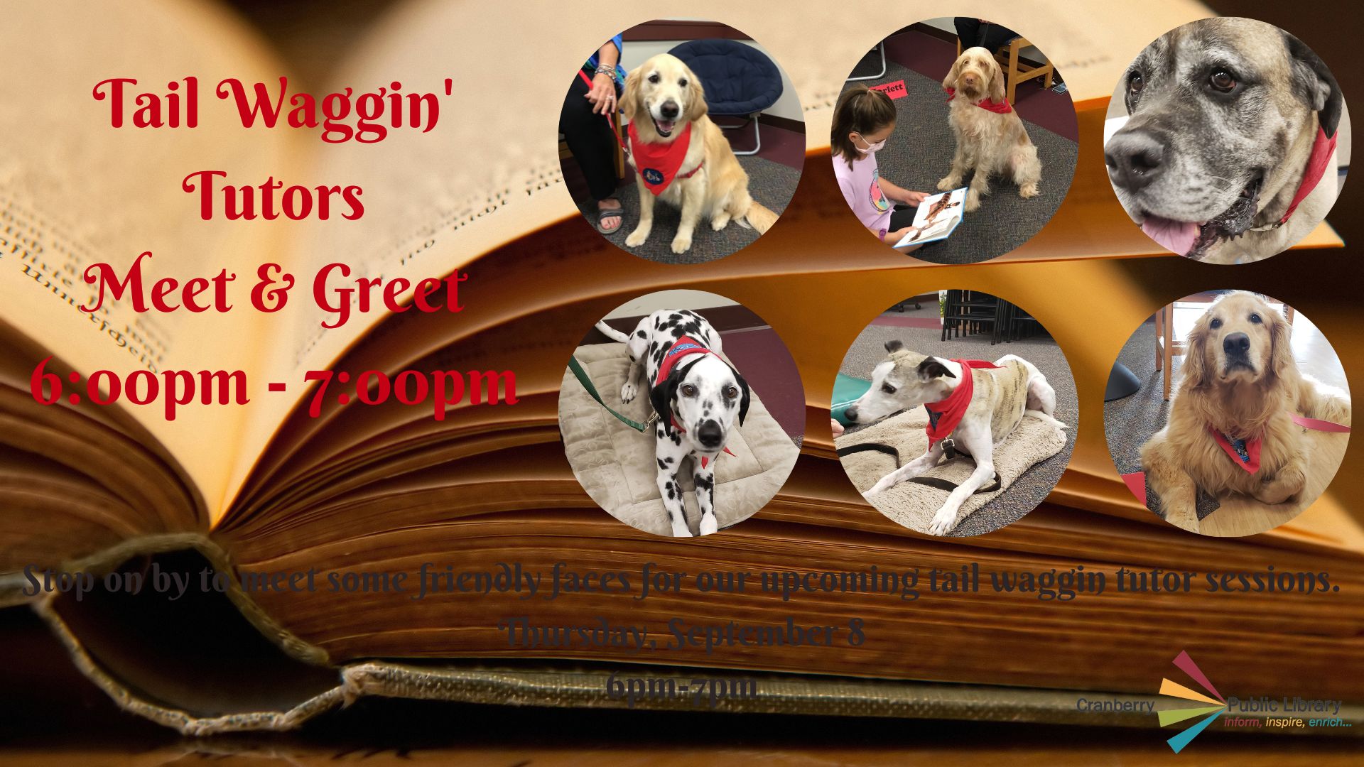 Flyer for Tail Waggin Tutors meet and greet