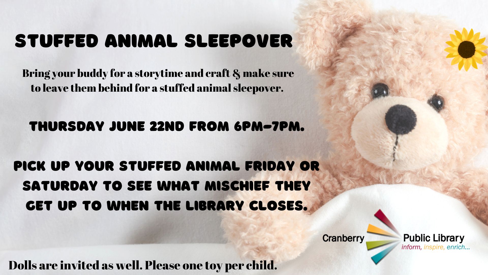 Flyer for Stuffed Animal Sleepover