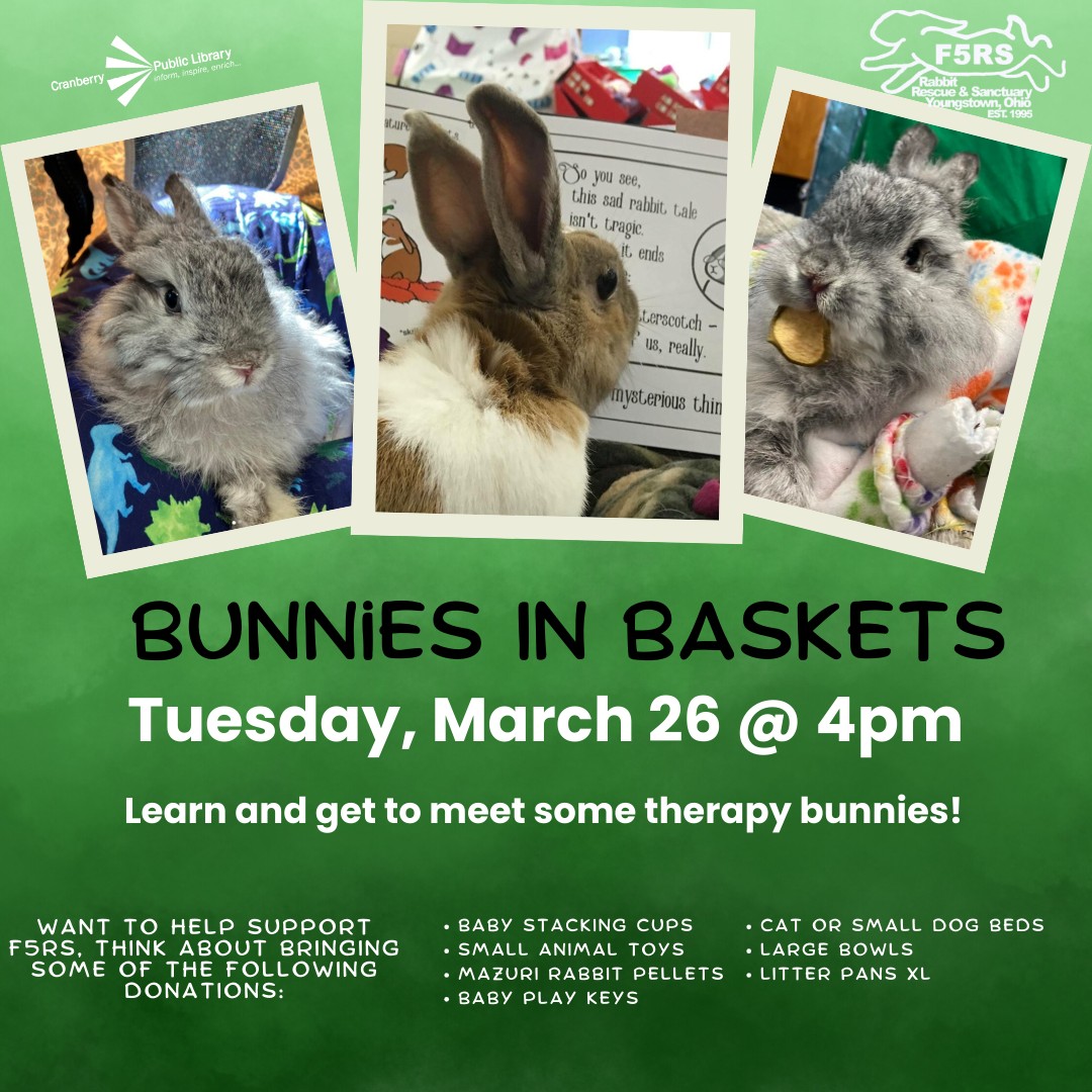 Bunnies In Baskets Flyer