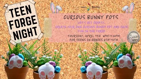 Flyer for Teen Forge Night Curious Bunny Pots