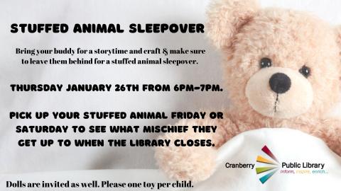 Flyer for Stuffed Animal Sleepover