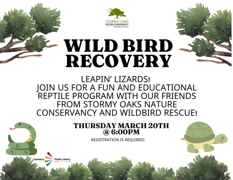 Wild Bird Recovery