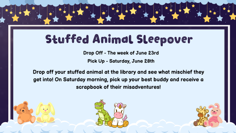 Stuffed Animal Sleepover