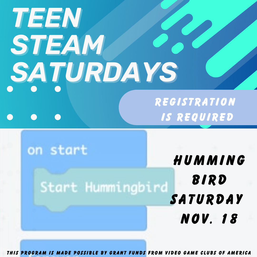 TEAM STEAM Saturday flyer