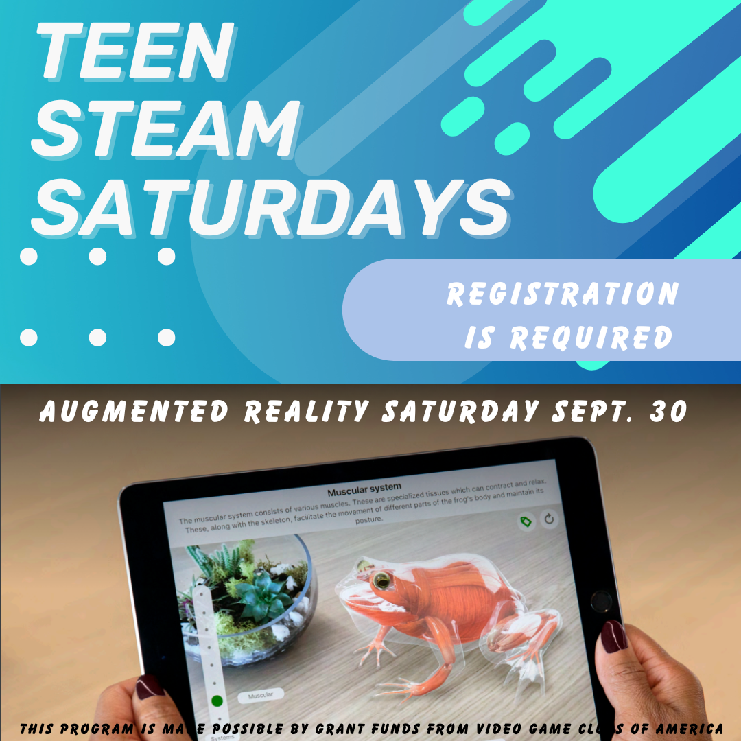 TEAM STEAM Saturday flyer