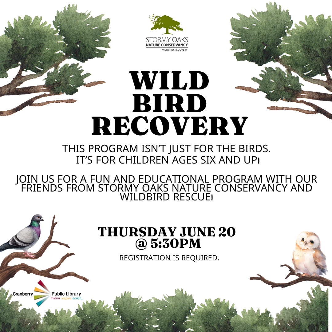 Wild Bird Recovery Flyer